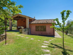Holiday Home Nido del Sorbino by Interhome Sansepolcro